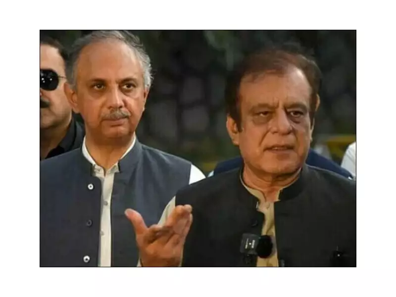 PTI's Omar Ayub Withdraws Election Disqualification Appeal in Surprise Move