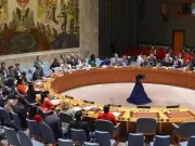 Denmark Warns UNSC of TTP Threat in Central & South Asia