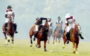 Diamond Paints Dominates FG Polo Cup with Record 13-4 Victory