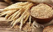 FCC Overturns SHC Ruling on Wheat Quota Policy