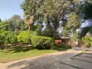 LHC Orders Probe Into 123 Trees Cut at Lahore's Historic Nasir Bagh