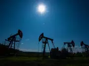 Pakistan, Kuwait Strengthen Petroleum Ties in High-Level Meeting