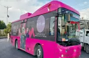 Balochistan Launches Pink Bus Service for Women's Safe Transport