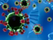 Health Alert: Pakistan Issues Nipah Virus Advisory Amid Regional Outbreaks