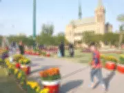 Karachi's Frere Hall Blooms with Annual Marigold Show, Mayor Inaugurates Event