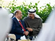 Pakistan and UAE Presidents Reaffirm Commitment to Regional Peace and Stability