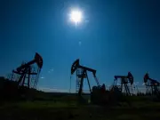 Pakistan Government Abandons APL Pipeline Termination, Opts for Alternative Use to Protect Foreign Investment