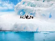 Scientists Map Hidden Antarctic Landscape, Revealing 30,000 New Hills