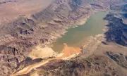 Colorado River Crisis: How Cattle Farming Drains the West's Water Supply