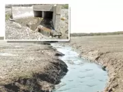 Journalists Blocked from Reporting on Toxic Waste Dumping in Coastal Lakes