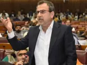 Power Minister Defends Net Metering Abolition as Legal Amid Senate Outcry