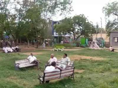 Lahore's Park Adoption Scheme Expands to More Green Spaces
