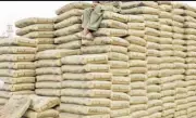 Pakistan's Cement Exports Surge 10% in FY 2025-26, Value Rises Despite Volume Dip