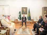 PM Shehbaz Reaffirms Pakistan's Solidarity with Saudi Arabia in Meeting with FM