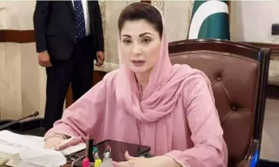 CM Maryam Calls for Collective Action to Tackle Climate Change on Earth Day