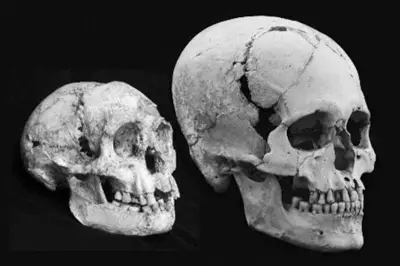 Hobbit Discovery Rewrites Human Evolution Narrative