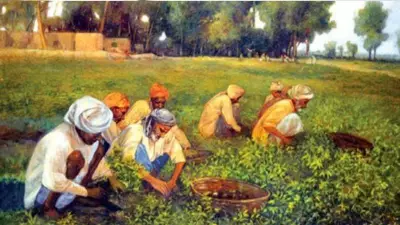 The Jaangli Language Call: A Cultural and Linguistic Movement in Pakistan