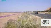 AlUla's Ambitious 2030 Goal: Cultivating Over 500 Native Plant Species