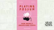 Exploring Mortality Through Animal Behavior in 'Playing Possum' by Susana Monsó