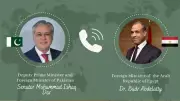 Ishaq Dar Engages Egypt and Uzbekistan for Regional Peace Efforts