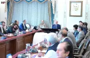 PM Shehbaz Sharif Reviews Petroleum Supply, Directs Relief for Low-Income Groups
