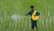 Punjab's Apna Khet Apna Rozgar Program Boosts Agriculture and Economy