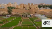 Saudi Arabia's Land Restoration Success Boosts Farm Incomes and Food Security