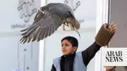 Saudi Falcons Club Unveils Major 2026 Falconry Events Calendar
