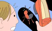 Should You Feel Guilty for Killing Bugs in Your House?