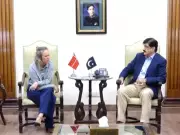 Sindh CM meets Danish envoy, discusses wind energy and investment