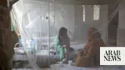 WHO Warns Pakistan Malaria Resurgence Risk Despite Case Drop
