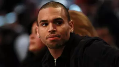 Chris Brown Slams Pitchfork and Zara Larsson Over New Album Criticism