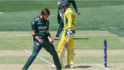 PCB Announces Ticket Details for Pakistan vs Australia ODI Series