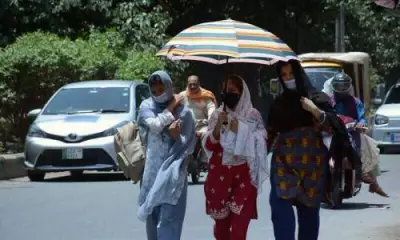 PDMA Warns of Above-Normal Temperatures and Rainfall in Punjab