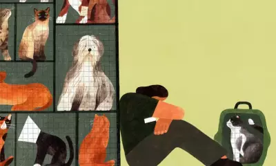 The Hidden Trauma of America's Animal Shelter Workers