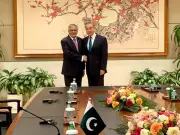 China lauds Pakistan's role in Iran-US dialogue, Wang Yi tells Dar
