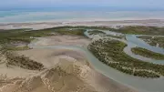 Disappearing Delta: Indus Losing Future