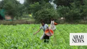 India in Talks with Saudi Arabia for Fertilizer Amid Iran War