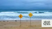 Man dies in shark attack off Western Australia coast near Rottnest Island