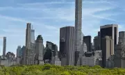 NYC's Hidden Species: Vox Plans to Discover New Insects in Parks