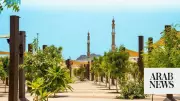 Over 60,000 Trees Planted Across Holy Sites in Makkah for Sustainability