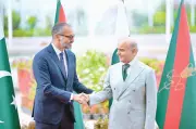 Pakistan and China Celebrate 75 Years of Diplomatic Ties