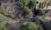 Pakistan Army Releases Teaser of Afghan Border Operation 'Fatah Ki Daastan, Jurrat Kay Nishan'