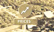 Pakistan Inflation Surges to 10.9% in April Driven by Rising Oil Prices