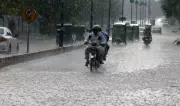 PDMA Punjab Issues Windstorm and Rain Alert Across Province
