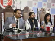 Punjab Authorities Accused of Resuming Stray Dog Killings by Animal Rights Groups