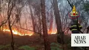 Thousands Evacuated as Wildfire Ravages Tuscany Region of Italy