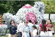 Uzbekistan Flower Festival Sets Guinness World Record
