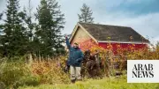 Zach Galifianakis' 'This Is a Gardening Show' Delivers Joyful, Bite-Sized Fun