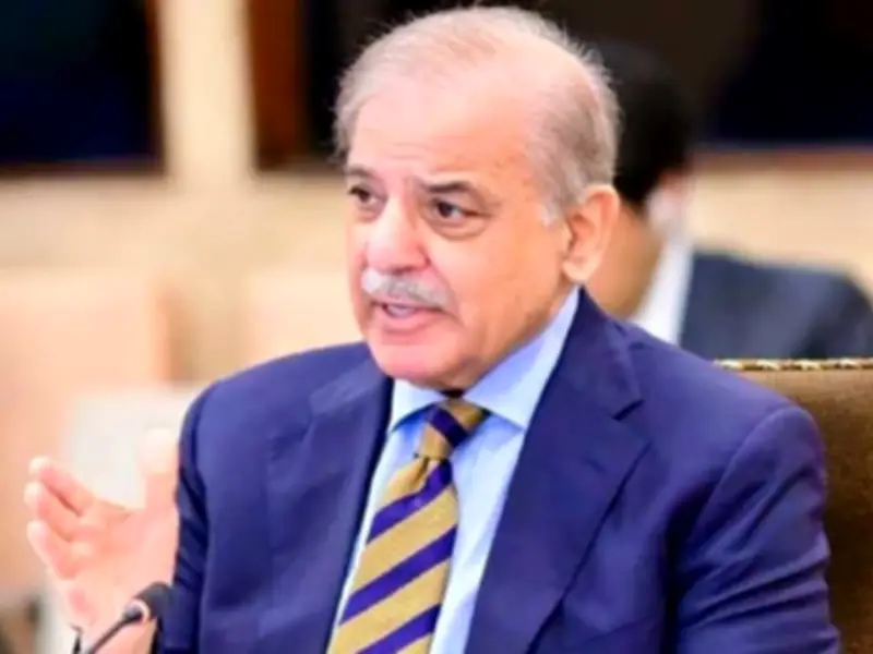 PM Shehbaz says budget provides relief, promotes economic growth